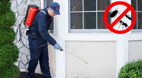 Eleşkirt Dezenfeksiyon böcek ilaçlama ve haşere kontrolü — ilaclama-tr.com